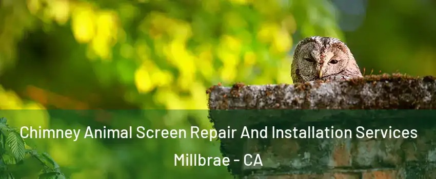  Chimney Animal Screen Repair And Installation Services Millbrae - CA