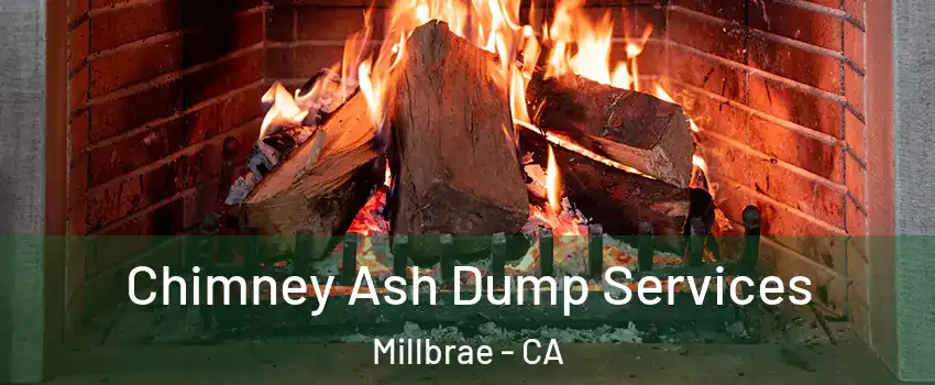  Chimney Ash Dump Services Millbrae - CA