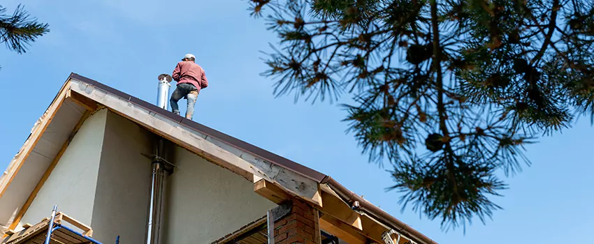 Birds Removal Contractors from Chimney in Millbrae, CA