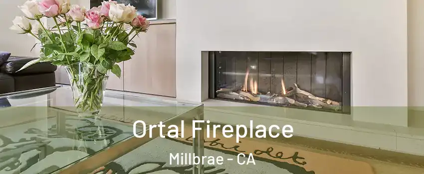  Ortal Fireplace Millbrae - CA